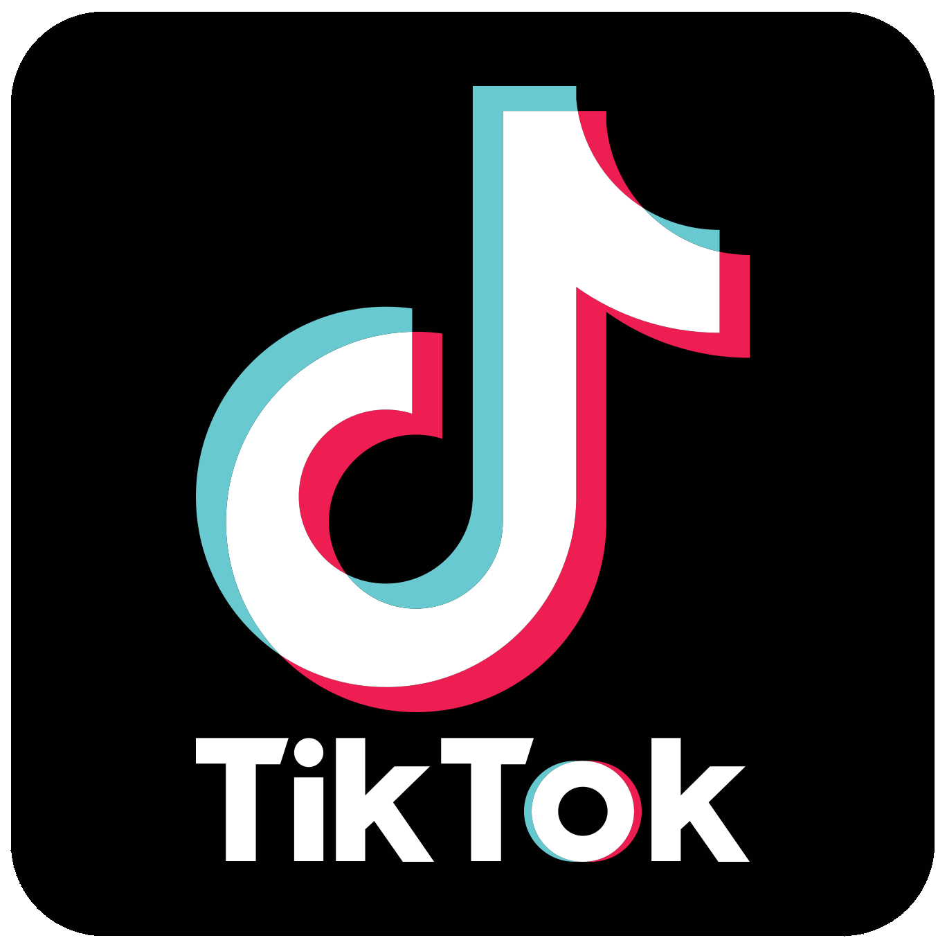 TikTok Logo